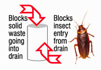 block entry insects