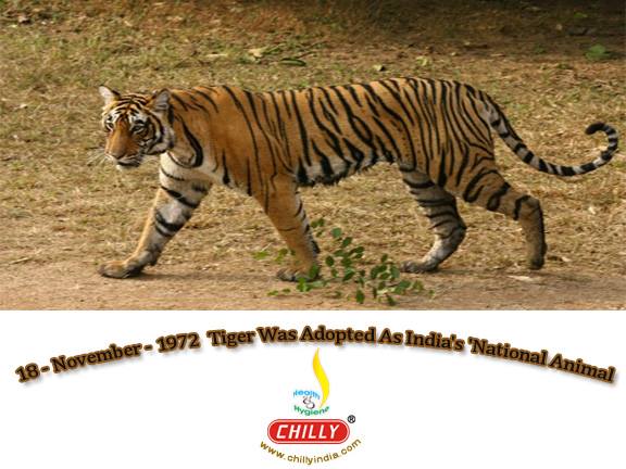 tiger India project